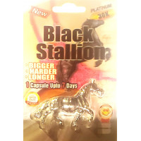 Black Stallion 3D Toy 24CT