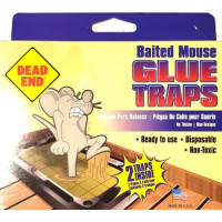 Mouse Glue Traps small 2ct