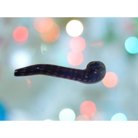 Glass Pipe Blue 7inch Heavy